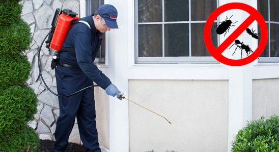 Beytüşşebap Kemirgen İlaçlama böcek ilaçlama ve haşere kontrolü — ilaclama-tr.com